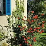 Casa Maria بيت ضيافة *