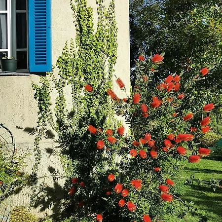 Casa Maria 게스트하우스 *